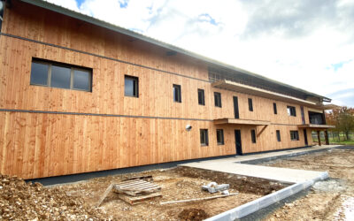 Mini-série – Les cheminements extérieurs prennent forme en béton lavé